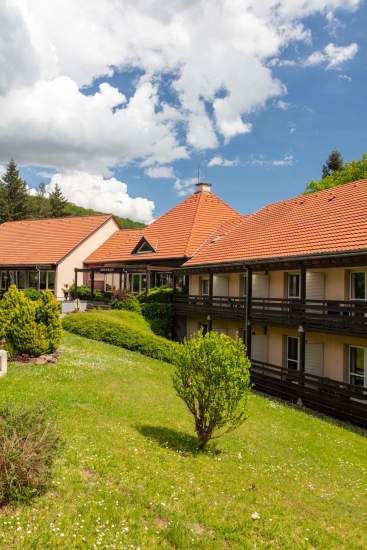 Hôtel Séminaire entre Colmar &amp; Mulhouse · La Vallée Noble